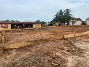 We Design and Build