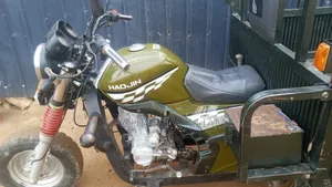 Haojin Tricycle 2026 Green