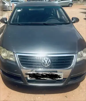 Volkswagen Passat 2.0 2007 Gray