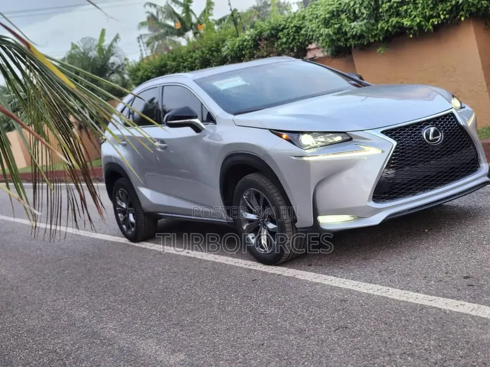 Lexus NX 300 AWD 2018 Silver