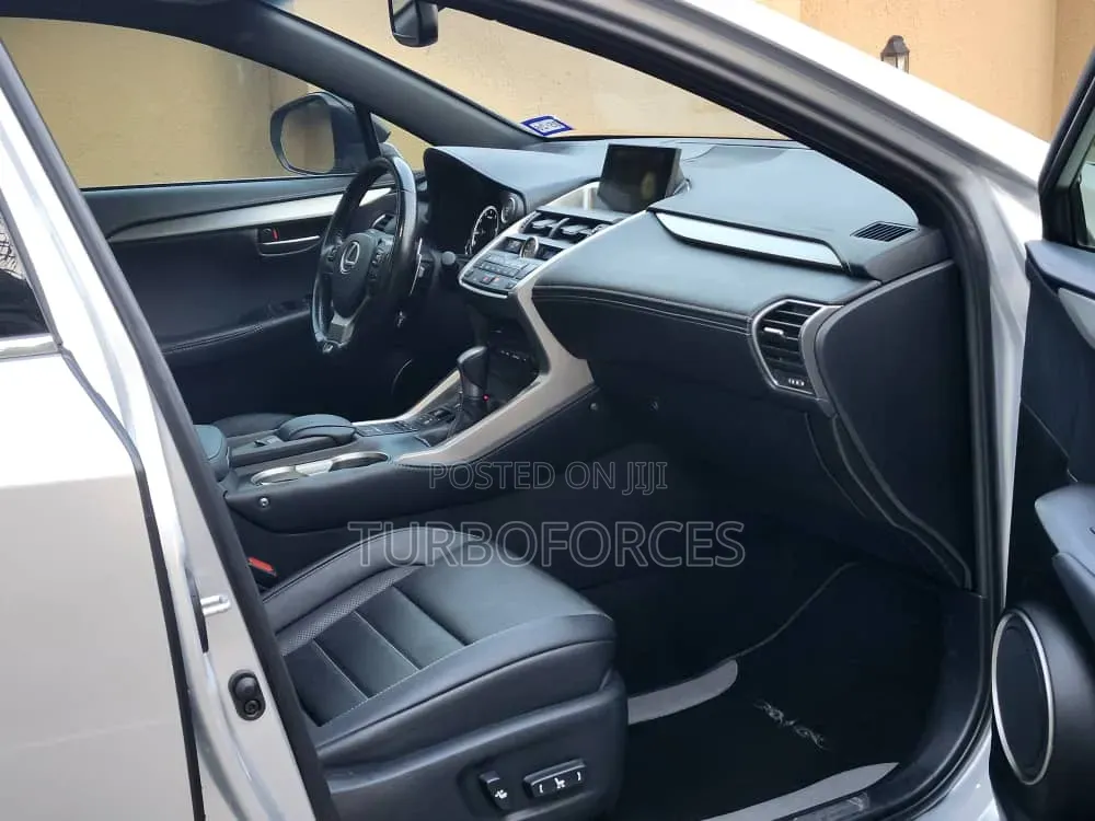 Lexus NX 300 AWD 2018 Silver