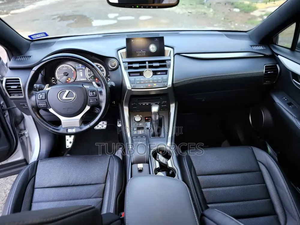 Lexus NX 300 AWD 2018 Silver