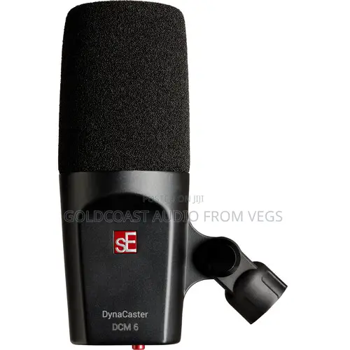 Se Electronics Dynacaster Dcm6 Active Dynamic Broadcast Mic WTH Preamp
