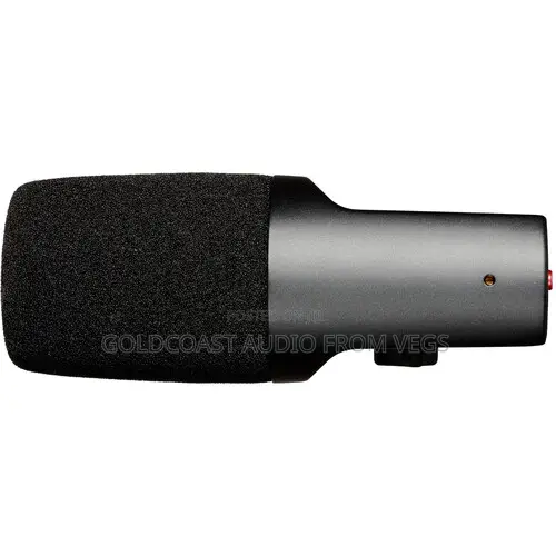 Se Electronics Dynacaster Dcm6 Active Dynamic Broadcast Mic WTH Preamp