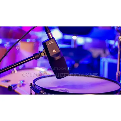 Se Electronics Dynacaster Dcm6 Active Dynamic Broadcast Mic WTH Preamp