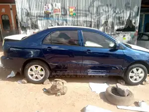 Premium Professional Car Spraying (Dhascol Motors)