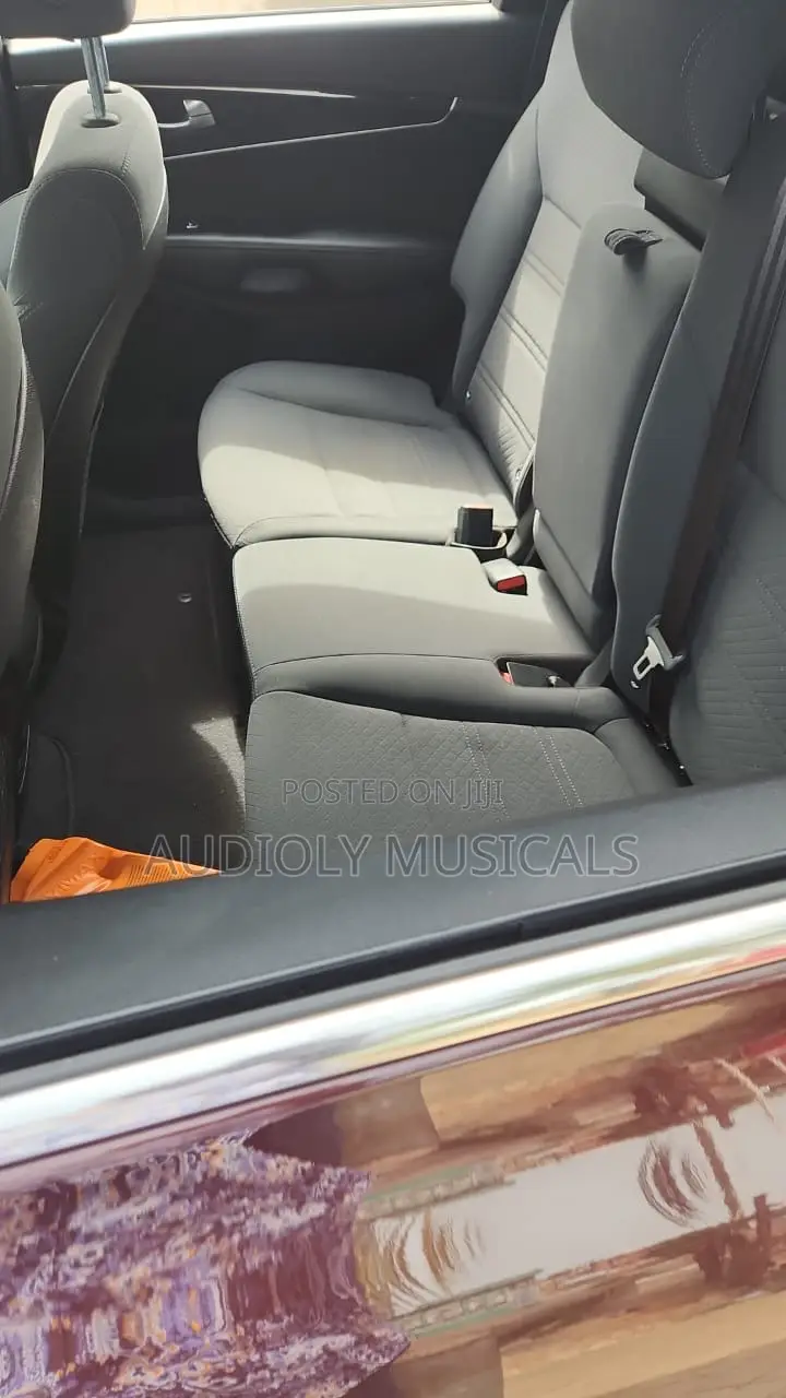 Kia Sorento 2019 Red
