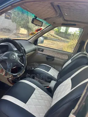 Nissan Terrano 2007 Green