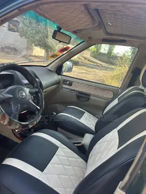 Nissan Terrano 2007 Green