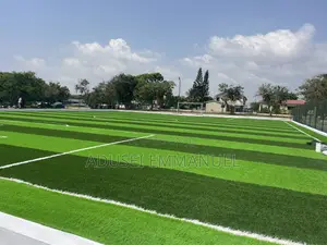 Turf Grass
