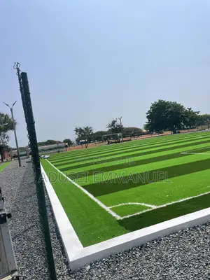 Turf Grass