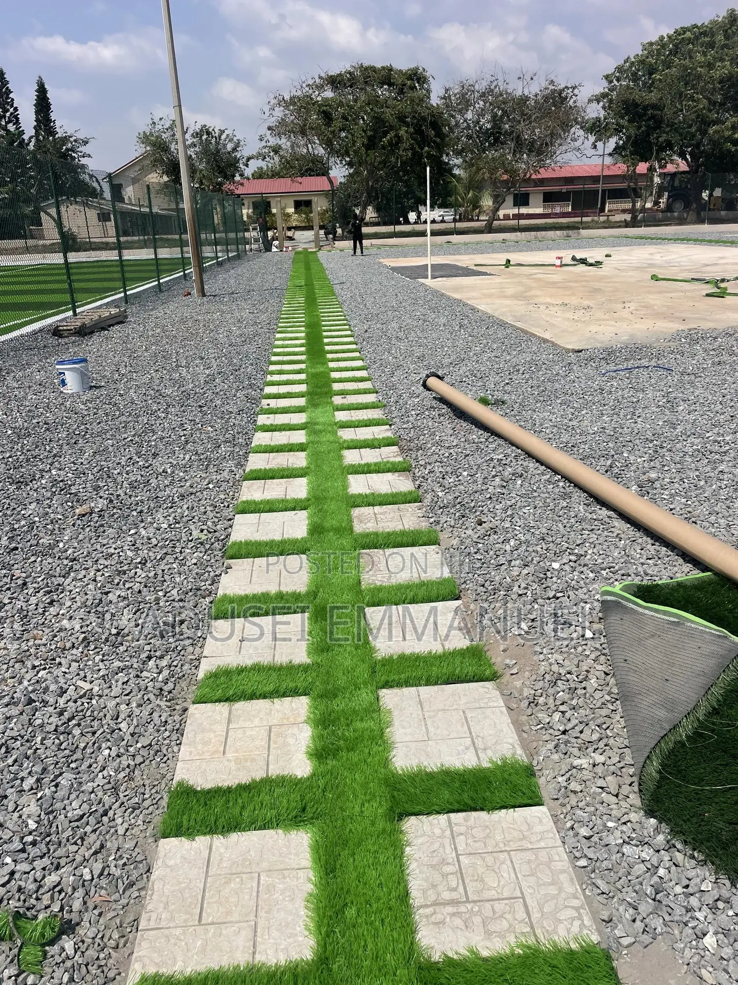 Turf Grass