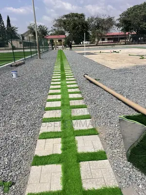 Turf Grass