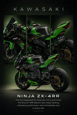 Kawasaki 2024 Green