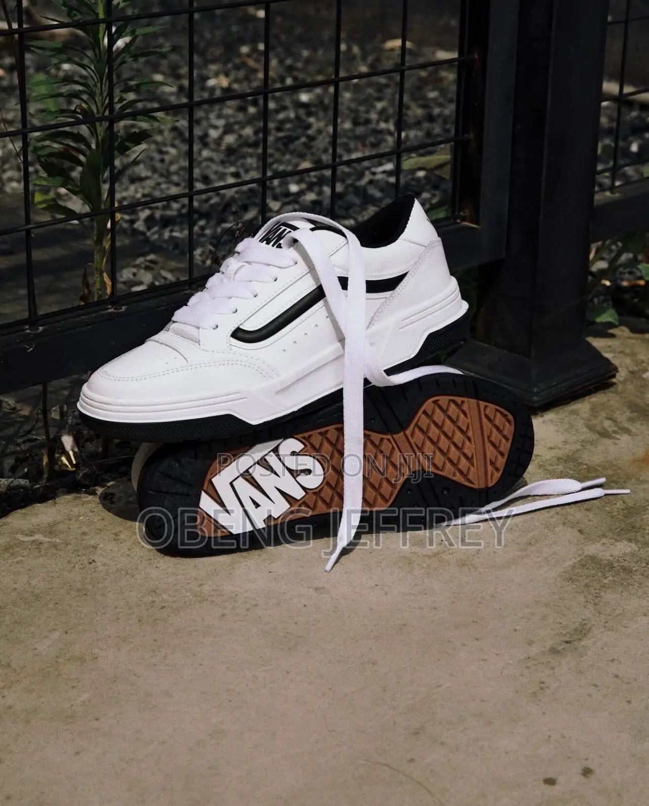 Original Vans Hylane in Black/White