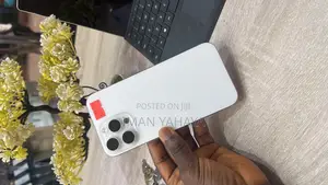 Apple iPhone 16 Pro Max 256 GB Silver