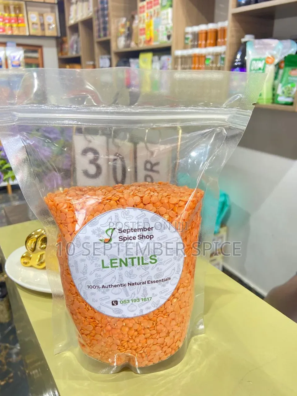 Lentil Seeds