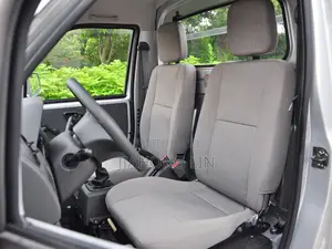 Dongfeng Light Truck 2024