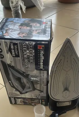 Electric Steam Iron