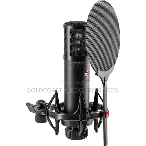 Se Electronics Se2300 Studio Condenser Microphone