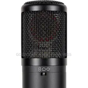 Se Electronics Se2300 Studio Condenser Microphone