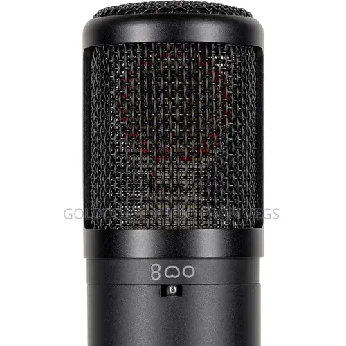 Se Electronics Se2300 Studio Condenser Microphone