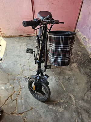 Electric Bike