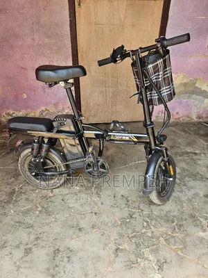 Electric Bike