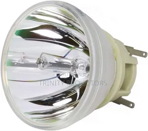 We Have All Kinds of Projector Lamps