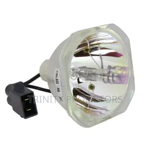 We Have All Kinds of Projector Lamps