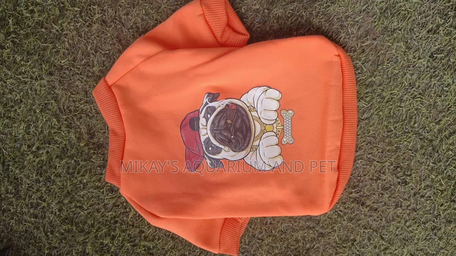 Pets Dresses