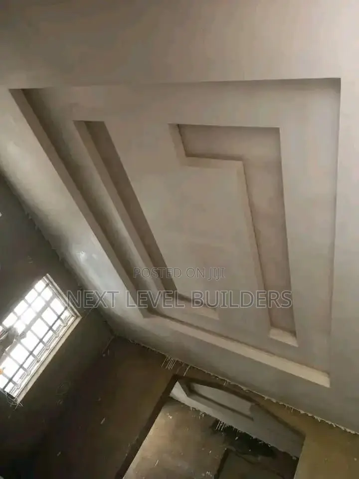 Professional P.O.P Ceiling and Skimming Expert