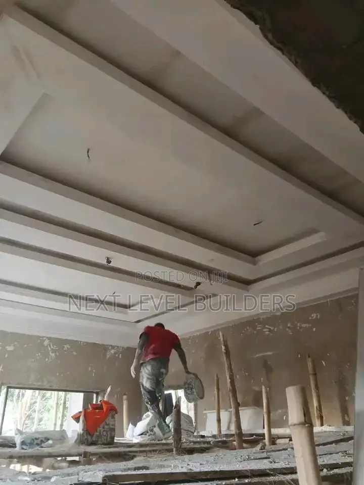 Professional P.O.P Ceiling and Skimming Expert