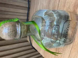 Silver Patron