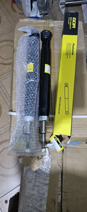 Voxy Back Shocks