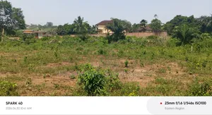 4 Acres of Land for Sale at Peduasi .