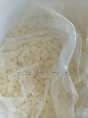 Oxygen Tablet