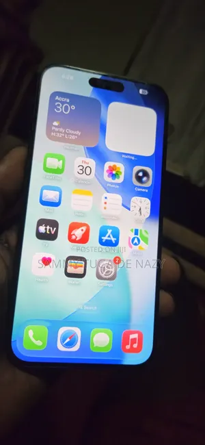 Apple iPhone 15 Pro Max 256 GB Gray