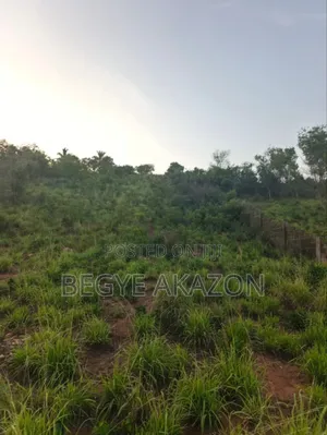 A Plot of Land for Sale at Gomoa Fetteh