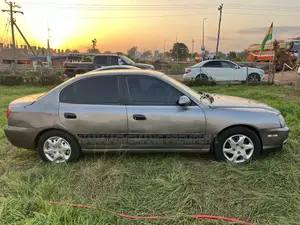 Hyundai Elantra 1.6 GLS 2007 Gray