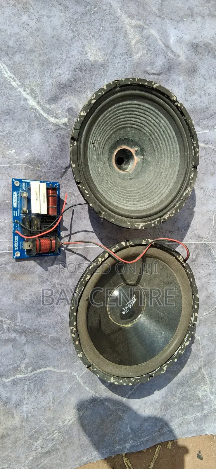 Used 12" Naked Speakers