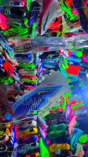 Shac Collection
