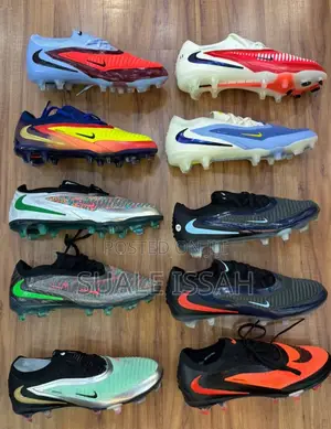 Shac Collection