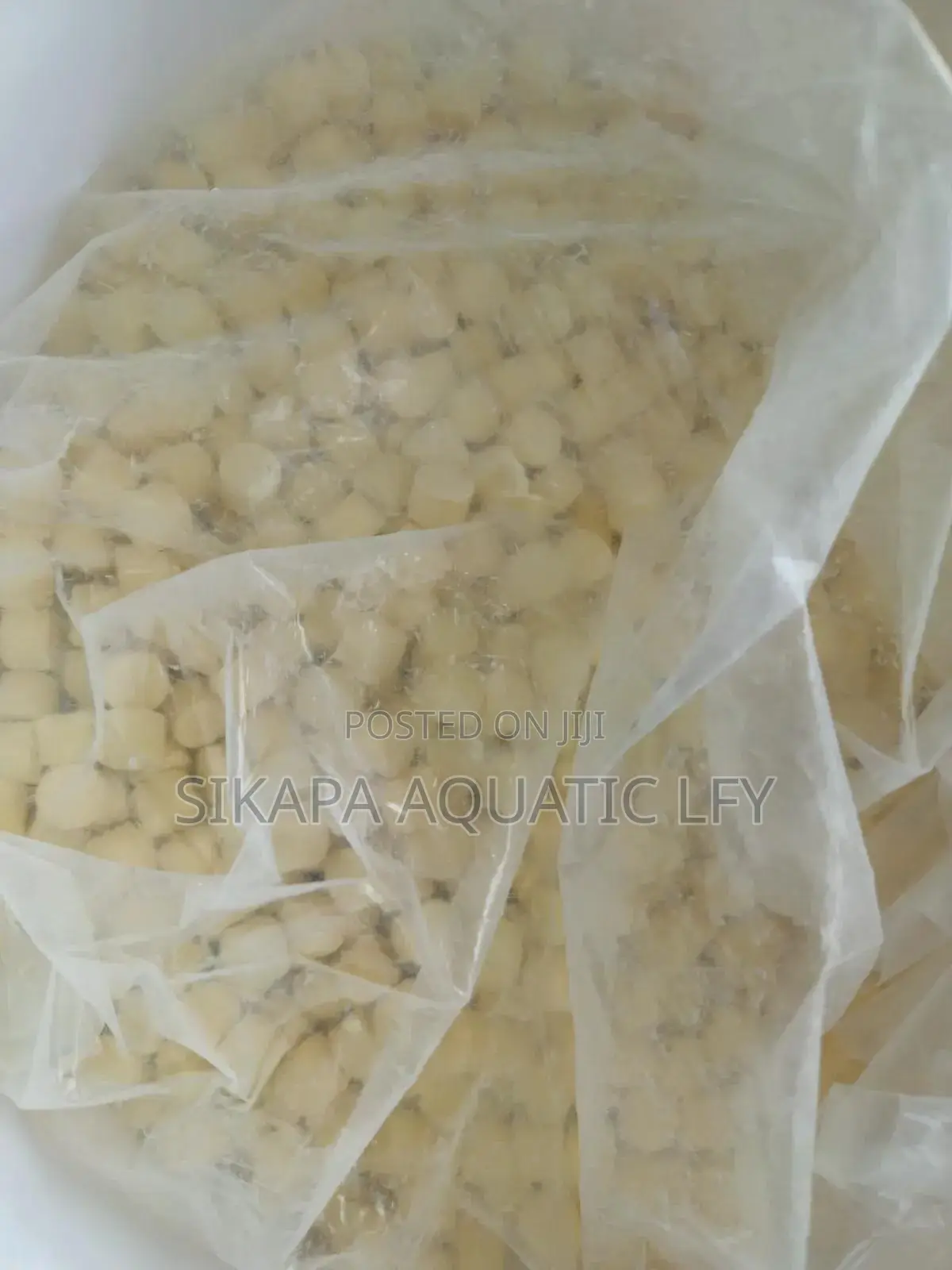 Oxygen Tablet