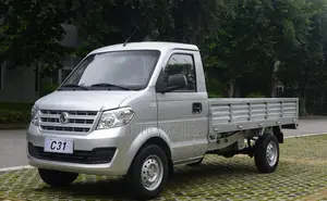 Dongfeng Light Truck 2024