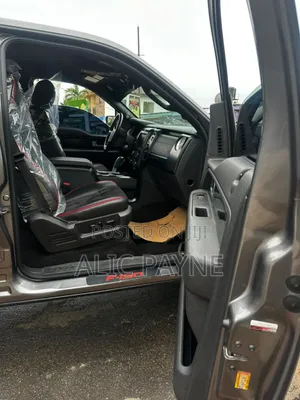 Ford F-150 XLT 2013 Gray