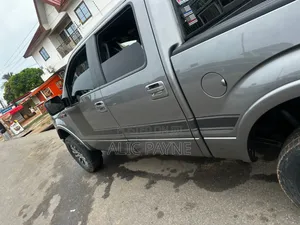 Ford F-150 XLT 2013 Gray