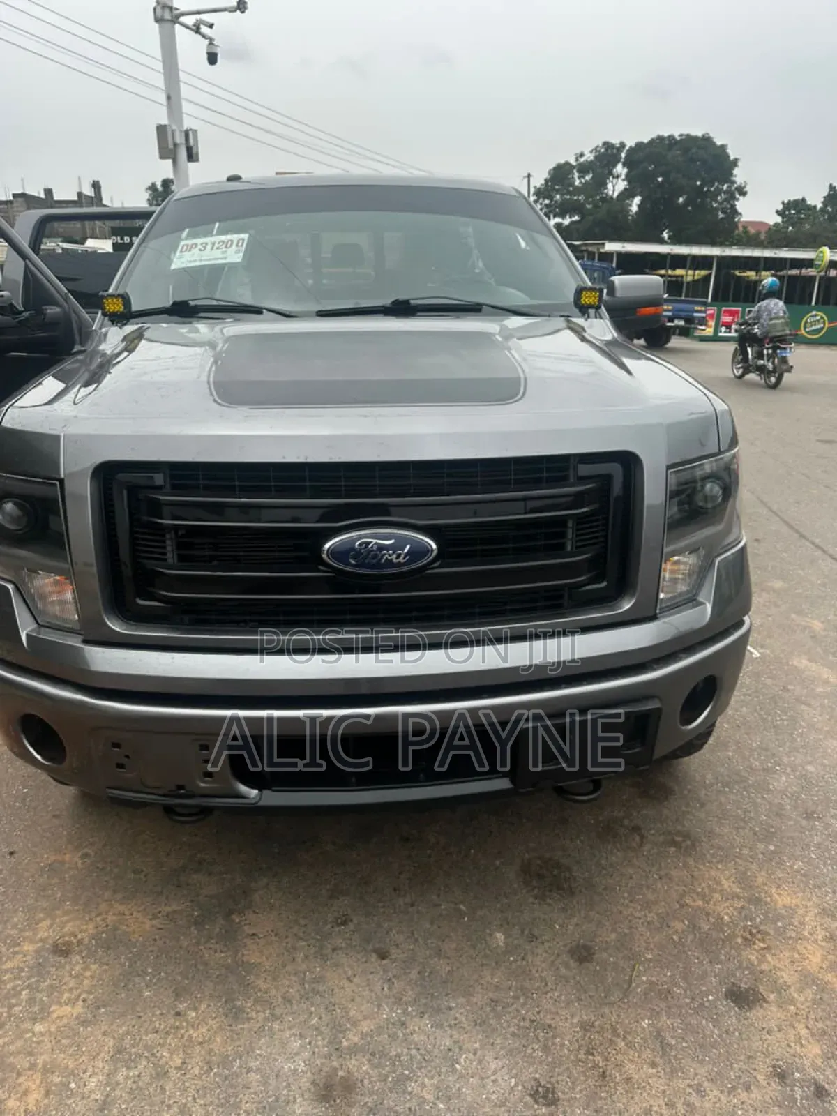Ford F-150 XLT 2013 Gray