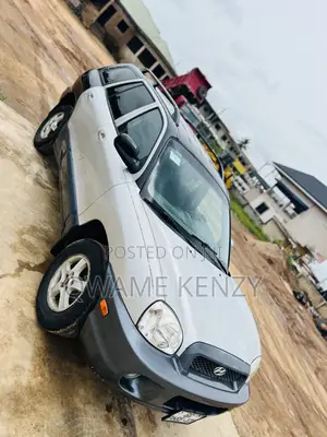 Hyundai Santa Fe 2004 Silver