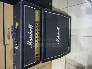 Professional Bass Combo